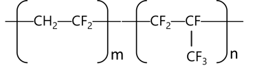 FKM type1